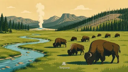 Región de Yellowstone, EE. UU.
