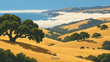 Oaks across California's Summer-Gold Hills