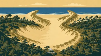Coastal Parabolic Dunes