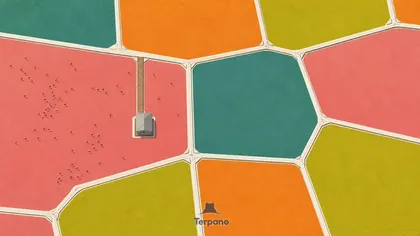 Salt Pond Palette