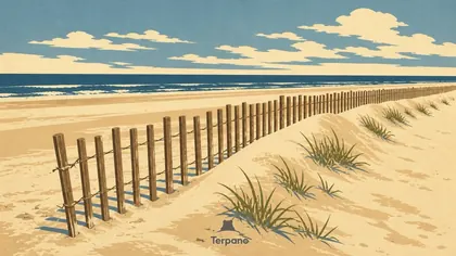 Sand Fence Dune