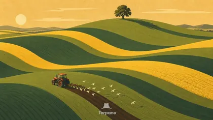 Wellende grüne Felder
